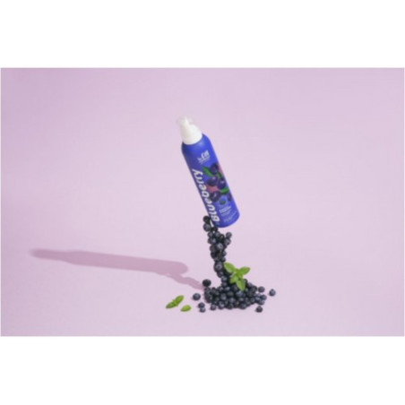ESPUMA BLUEBERRY BEGIN 12X240G