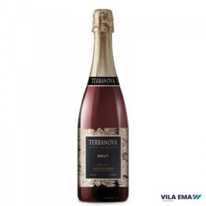 ESPUMANTE TERRANOVA BRUT BCO 6X750ML