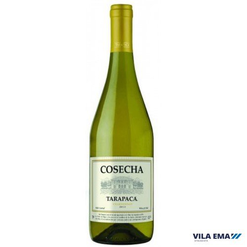 Vinho Tarapacá Cosecha Branco Chardonnay