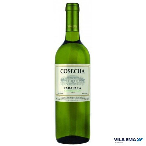 Vinho Fino Chileno Sauvignon Blanc Cosecha
