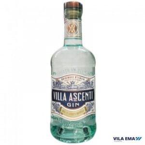 GIN VILLA ASCENTI 6X700ML
