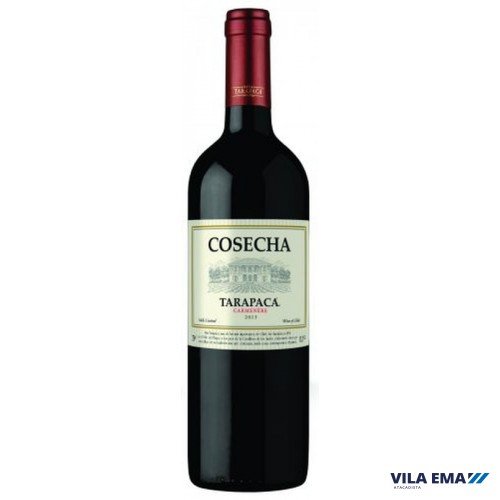 Vinho Tinto Carmenère Tarapacá Cosecha