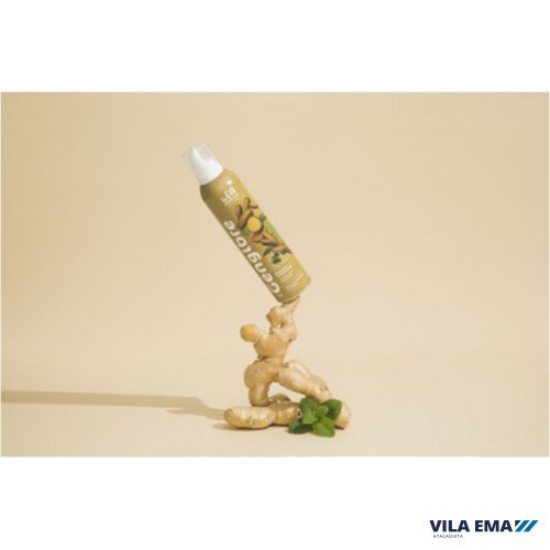 020700-4.jpg ESPUMA GENGIBRE BEGIN 12X240G