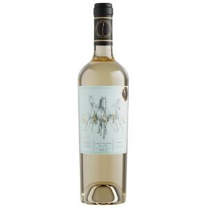 021996-7.jpg Vinho Chileno Kasta Selección Branco Sauvignon Blanc 750ml