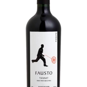 VINHO PIZZATO TANNAT 6X750ML