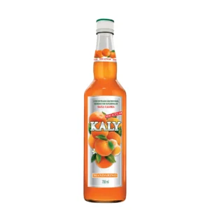XAROPE DE TANGERINA LIGHT 700ML