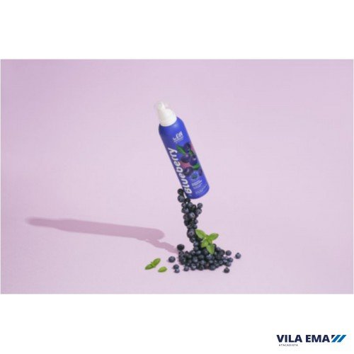 020697-0.jpg ESPUMA BLUEBERRY BEGIN 12X240G