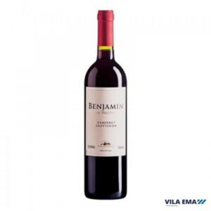 VINHO ARG BENJAMIN NIETO TTO CAB SAUV 6X750ML