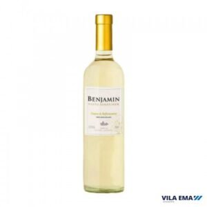 VINHO ARG BENJAMIN NIETO BCO CHARDONAY 6X750ML