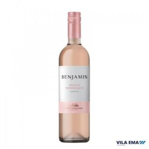 VINHO ARG BENJAMIN NIETO ROSE SUAVE 6X750ML
