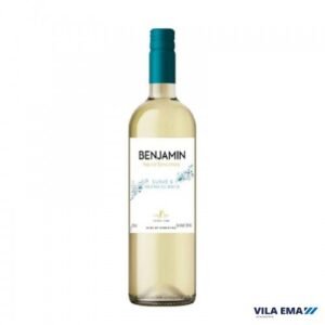 VINHO ARG BENJAMIN NIETO BCO SUAVE 6X750ML
