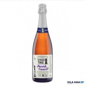 021205-9-1.jpg ESP TERRANOVA VINTAGE BCO MOSCATEL 6X750ML