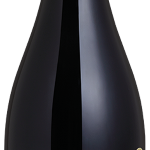 021674-7-1.png 20852 V CHI TINTO CHILENO PINOT NOIR MAYOS 6X750ML