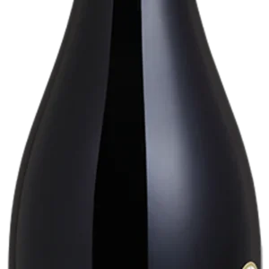 V CHI TINTO CHILENO SYRAH MAYOS 6X750ML