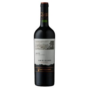 V CHI VENTISQUERO RSV MERLOT 12X750ML