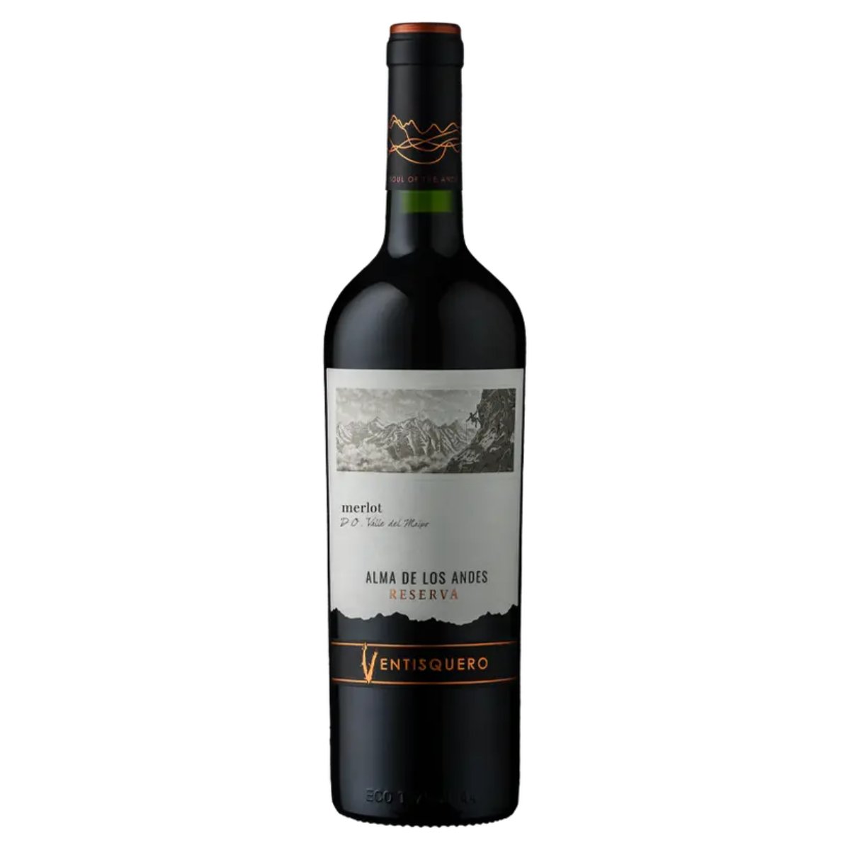 021835-9.jpg V CHI VENTISQUERO RSV MERLOT 12X750ML