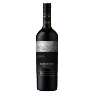 V CHI VENTISQUERO RSV RED BLEND 12X750ML