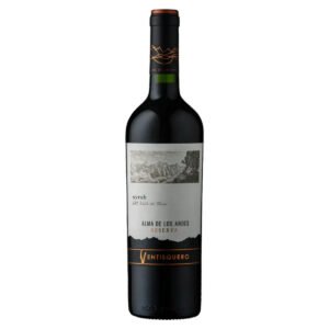 V CHI VENTISQUERO RSV SYRAH 12X750ML