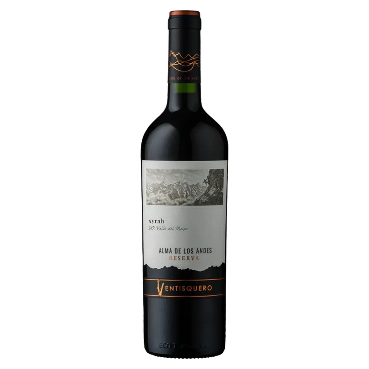 021837-5.jpg V CHI VENTISQUERO RSV SYRAH 12X750ML