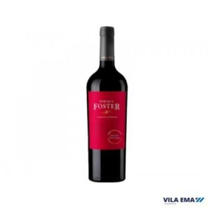 021968-1-2.jpg VINHO ARGENTINO ENRIQUE FOSTER SINGLE CABERNET SAUVIGNON TINTO VINEYARD LOS ALTEPES 6X750ML