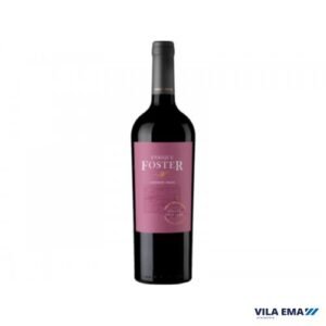 021969-0-2.jpg VINHO ARGENTINO ENRIQUE FOSTER SINGLE CABERNET FRANC TINTO VINEYARD LOS ALTEPES 6X750ML