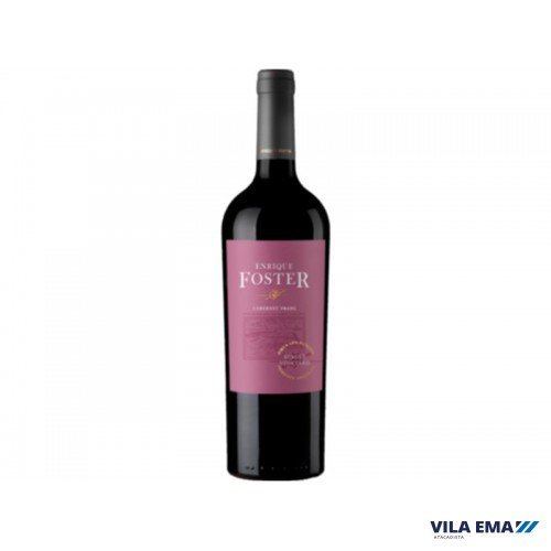VINHO ARGENTINO ENRIQUE FOSTER SINGLE CABERNET FRANC TINTO VINEYARD LOS ALTEPES 6X750ML