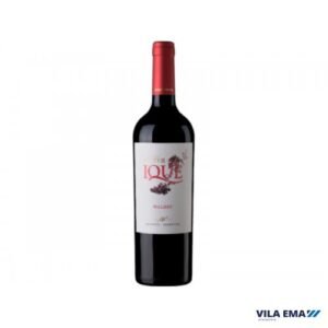 VINHO ARGENTINO ENRIQUE FOSTER IQUE MALBEC TINTO 6X750ML