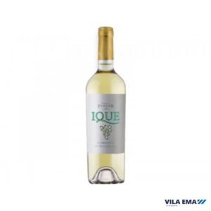 VINHO ARGENTINO ENRIQUE FOSTER IQUE TORRONTÉS BRANCO 6X750ML