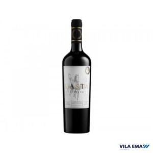 V CHI KASTA RESERVA TTO CAB SAUV 6X750ML
