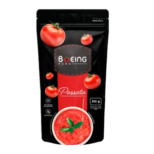 PASSATA BOEING POUCH 24X310GR