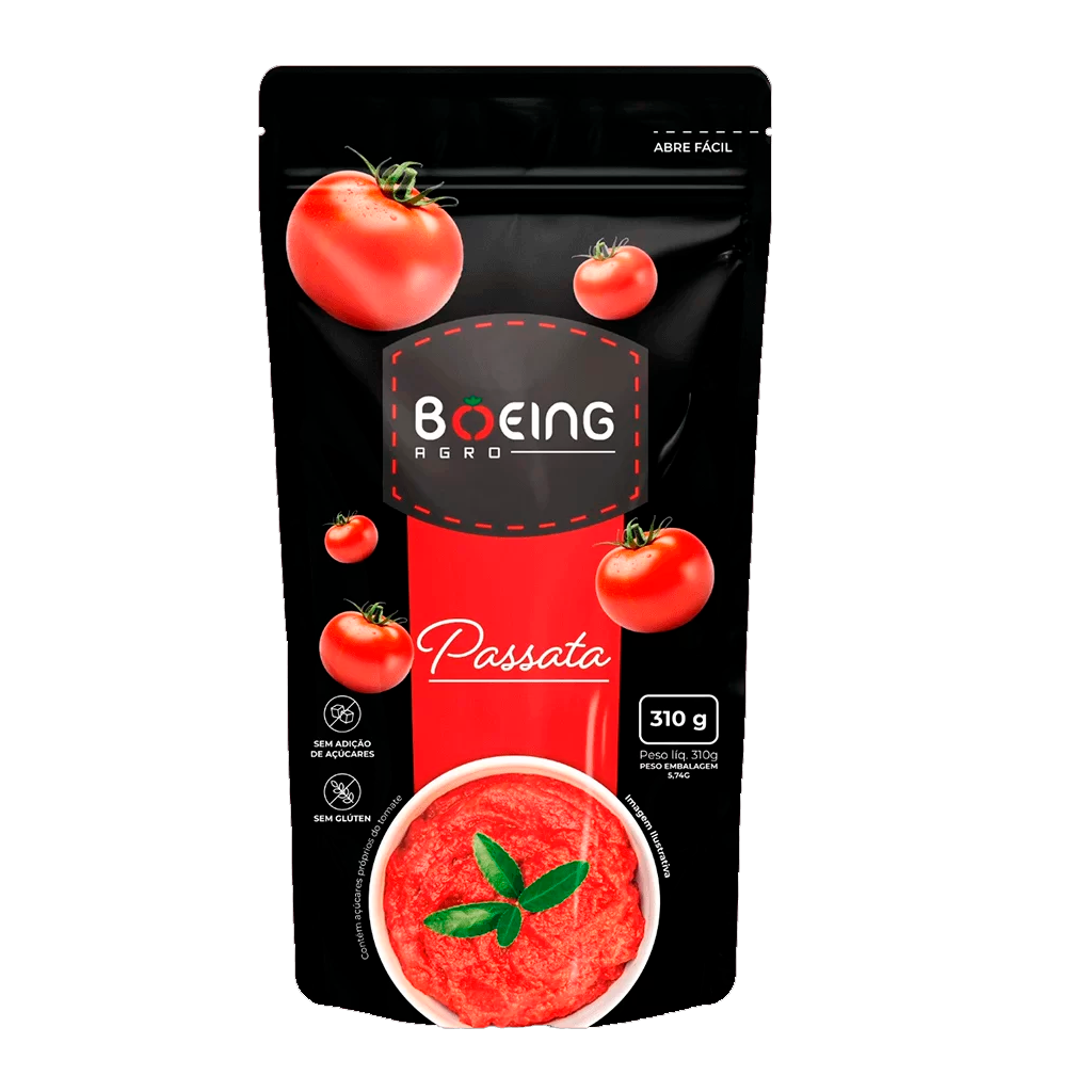 PASSATA BOEING POUCH 24X310GR