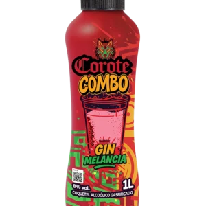 GIN + COMBO MELANCIA 6X1L