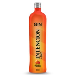 GIN DOCE MORANGO E PESSEGO VD 6X900ML